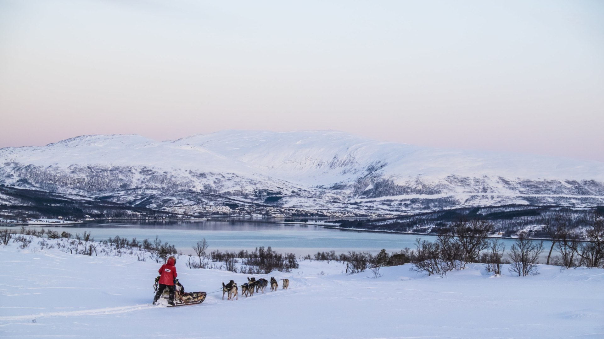Huskytour und Eishotel